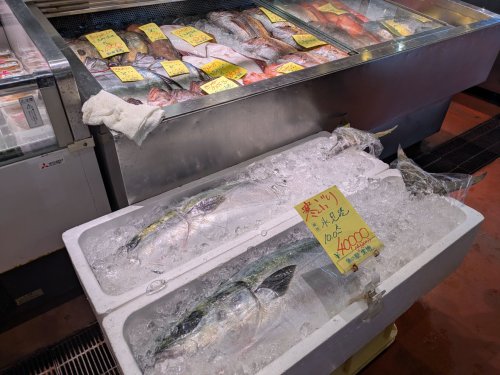 まるごと氷見ブリ