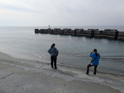 海岸で遊ぶ同行者